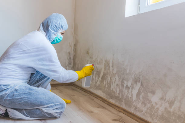 Mold Remediation specialist working in Lovettsville